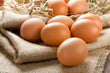 GMO/Cage-Free Egg Porridge